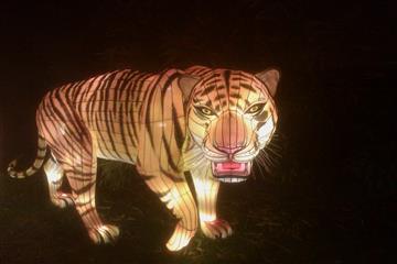 China Lights Hortus (Haren)